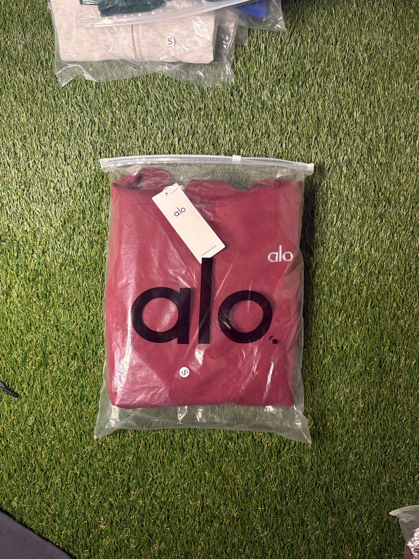 ALO Hoodie (Burgundy)