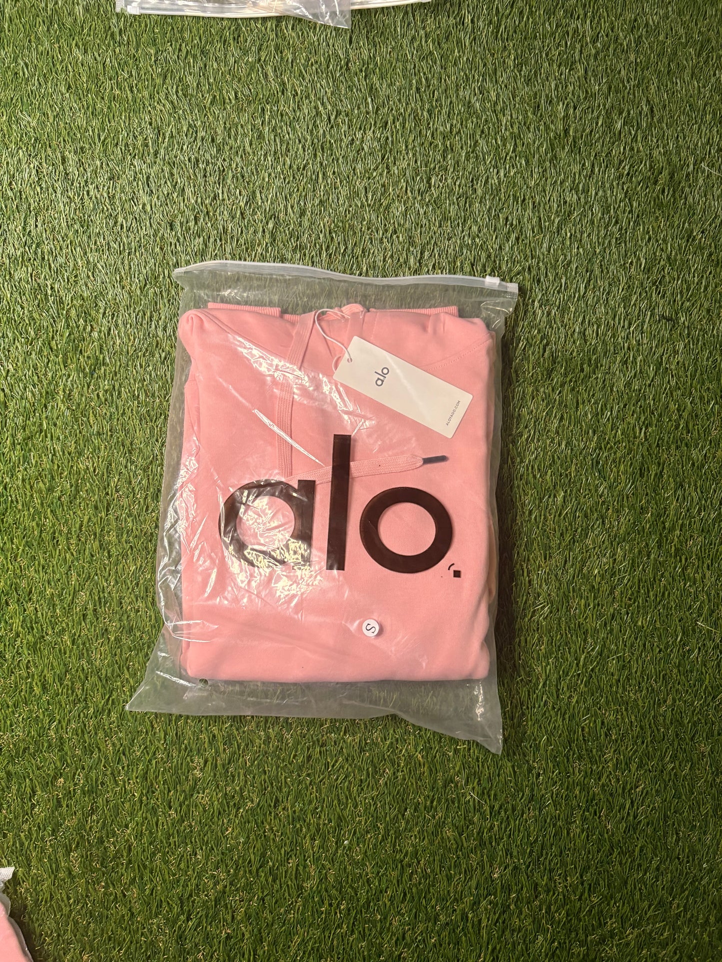 ALO Hoodie (Pink)