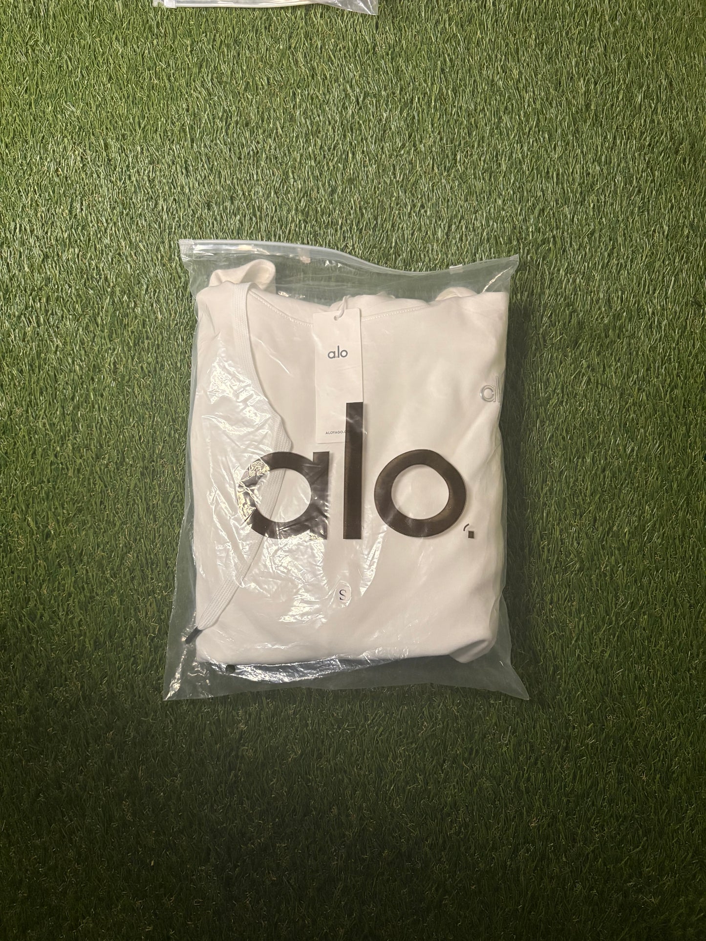 ALO Hoodie (White)